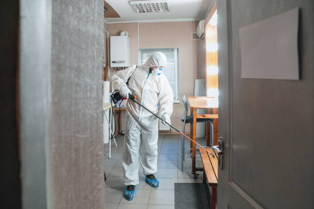 Best Airborne Mold Testing  in New Eagle, PA