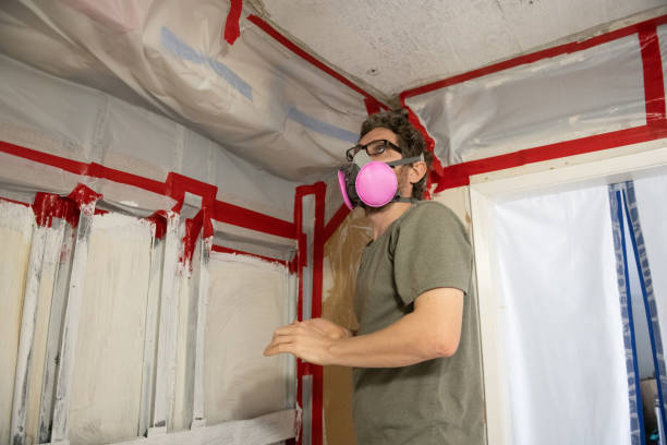Best Air Quality Testing for Mold Spores  in New Eagle, PA