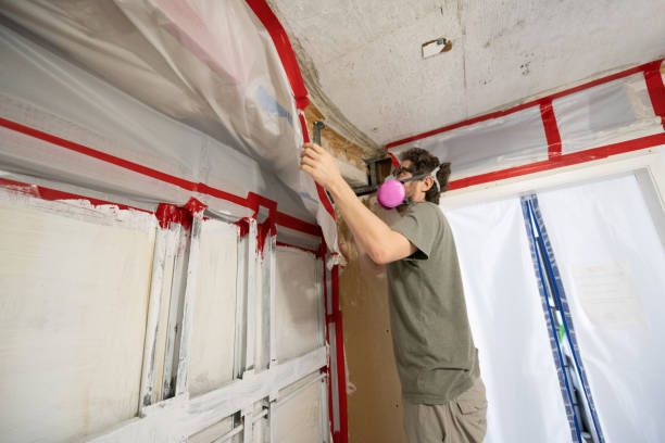 Best Asbestos and Lead Testing During Mold Inspection  in New Eagle, PA