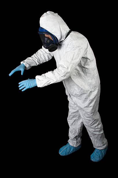 Best Post-Remediation Verification Testing  in New Eagle, PA